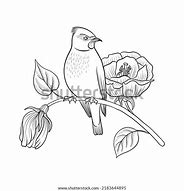 Image result for Colored Vector Drawing of a Bird On a Branch