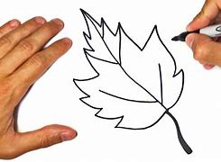 Image result for Leaf Drawing for Kids Coloring