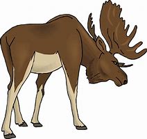 Image result for Elk Head Vector