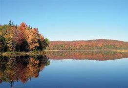 Image result for Fall Foliage Peak Times