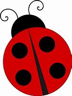 Image result for Ladybug On Leaf Clip Art