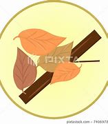 Image result for SIB Tree Branch Icon