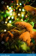 Image result for Chrismas Tree by Wood