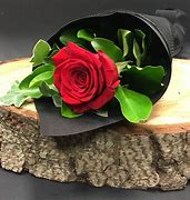 Image result for Single Red Rose for CD Case On Side