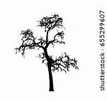 Image result for Vector Tree Branch Coloring