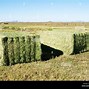 Image result for Alfalfa Hay Bales