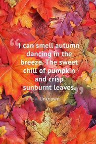 Image result for Fall Monrgs Quites