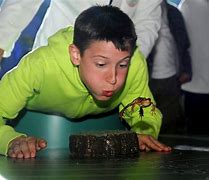 Image result for Frog Jumping Competition