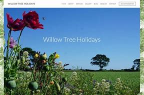 Image result for Willow Tree Nativity Rrees