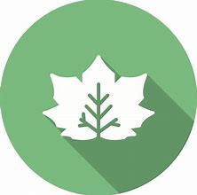 Image result for Maple Leaf Icon