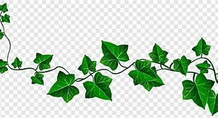 Image result for Ivy Vine Branch Clip Art