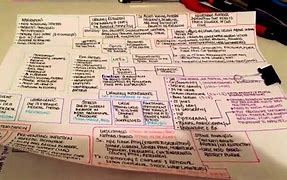 Image result for Nursing Student Concept Map