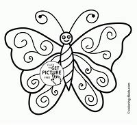 Image result for Beautiful Side View Butterfly