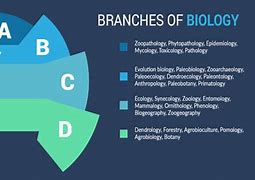 Image result for biology branches science