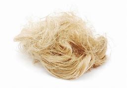 Image result for Hemp Fiber