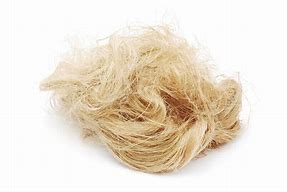 Image result for Hemp Fiber