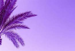 Image result for Palm Tree Landscape Drawing