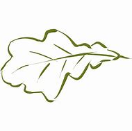 Image result for Oak Leaf Vector