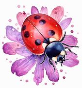 Image result for Watercolor Ladybug Flower Clip Art