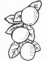 Image result for Lemon Coloring Sheet