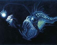 Image result for Finding Nemo Angler Fish and Mask