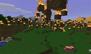 Image result for Minecraft Forest Fire