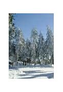 Image result for Winter Wood Home