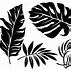 Image result for Leaves Silhouette Vector