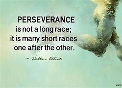 Image result for Perseverance Quites