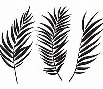 Image result for Palm Tree Leaf Silhouette