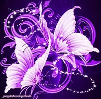 Image result for Framed Butterfly Wall Art