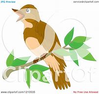 Image result for Perched Bird Drawing