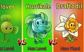 Image result for Blover vs Hurrikale