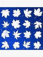 Image result for White Oak Leaves and Fruit