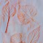 Image result for Autumn Leaf Rubbings