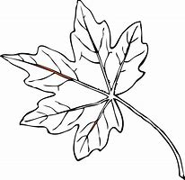 Image result for Maple Tree Copyright Free Image Vector