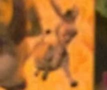 Image result for Donkey From Shrek Staring Meme