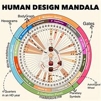 Image result for Best Humam Design Chart