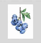 Image result for Blueberry Lady Art