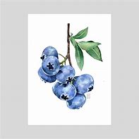 Image result for Blueberry Bush Art