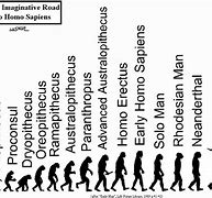 Image result for Evolution Human Homo Sapiens