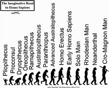 Image result for Human Evolution Lineage