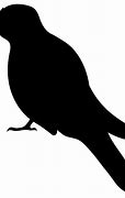 Image result for Cartoon Bird Silhouette