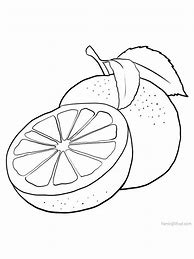 Image result for Grapefruit Coloring Page