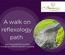 Image result for Leafy Foot Path