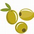 Image result for Olive Branch Graphic Clip Art