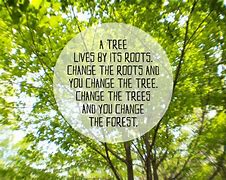 Image result for Tree Life Quotes