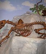 Image result for Smilodon