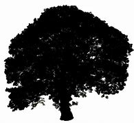 Image result for Pretty Tree Silhouette