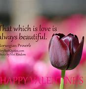 Image result for Beautiful Day Quotes Love